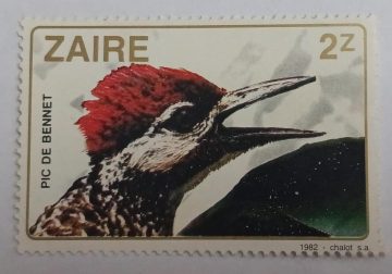 Zaire pic de bennet
