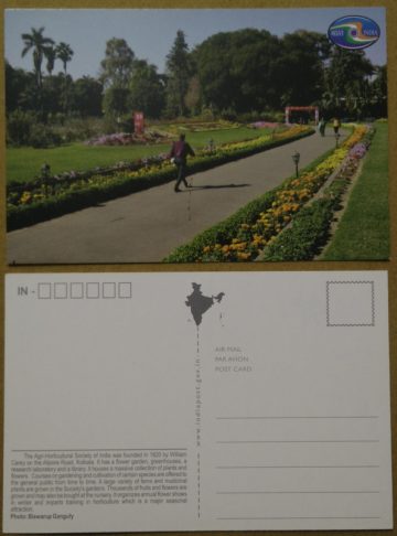 Flower Garden Maxi Cards