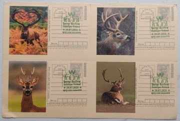 HALDERPUR WETLAND SAHARANPUR - 2 (Blk of 4)