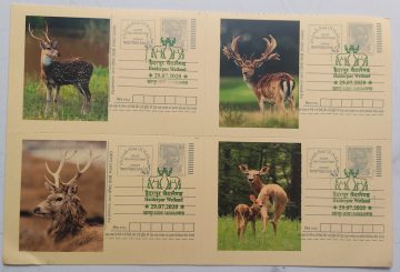 HALDERPUR WETLAND SAHARANPUR - 3 (Blk of 4)