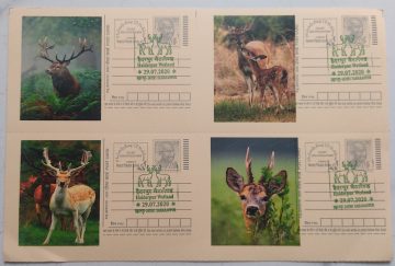 HALDERPUR WETLAND SAHARANPUR - 1 (Blk of 4)