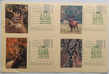 HALDERPUR WETLAND SAHARANPUR - 4 (Blk of 4)