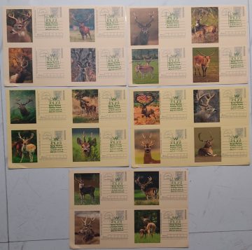 HALDERPUR WETLAND SAHARANPUR SET 5 BLK-4 CARDS