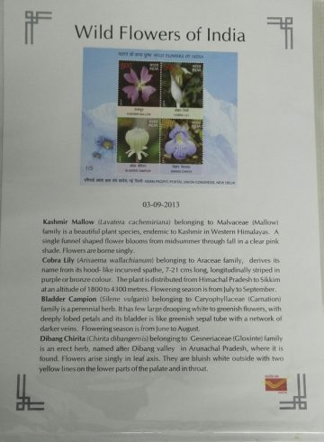 Wild Flowers of India (3)Presentation Pack