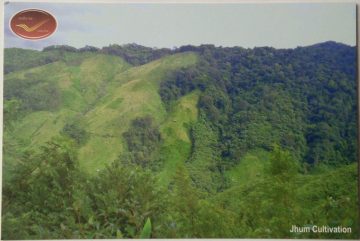 Jhum Cultivation Maxi Cards