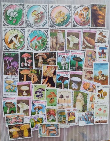 100 Mushrooms Used stamps