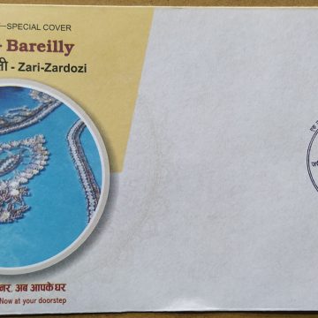 Bareilly-Zari-Zardozi  (Special Cover)