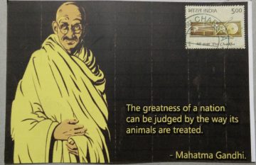 The Greatness of a nationcan be judged by the way its animals are treated   Maxim Card