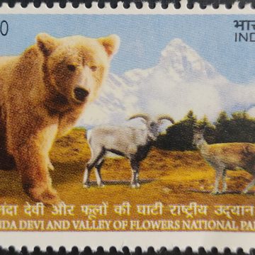 UNESCO World heritage sites Nanda Devi & valley - MNH Stamp | Buy Indian Postage Stamps | Philately India