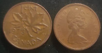 1 Cent Canada 1973 Elizabeth II D.G Regina (used)