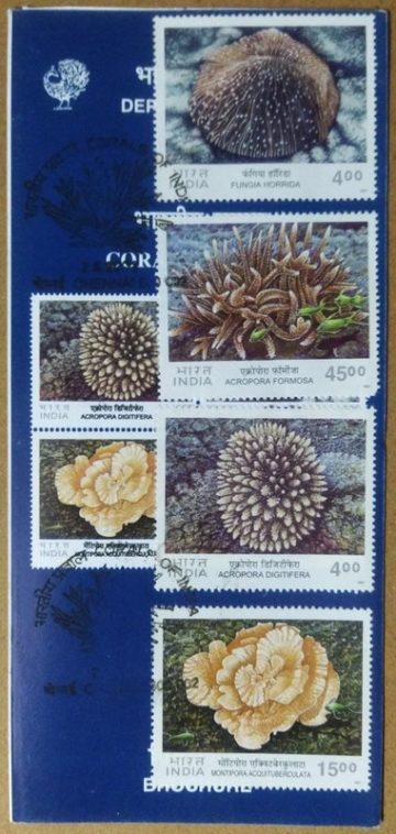 Corals of India SBR