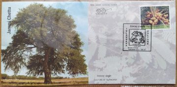 Culture of Telangana Jammi Chettu Special Cover