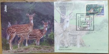 Culture of Telangana Jinka Special Cover