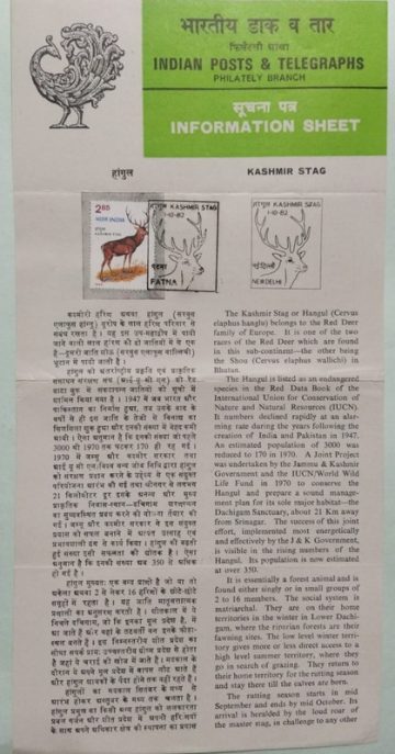 Wildlife Week.(Hangul Red Deer Stag, Kashmir) (SBR)