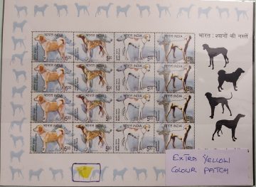 India – Breeds of Dogs SL Extra Yellow
