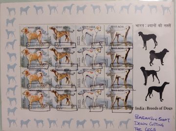India – Breeds of Dogs SL Perforation Shift