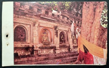 Image of Budha Under Bodhi Tree Bodh Gaya Maxi Cards