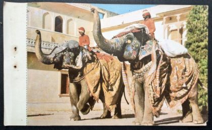 Decorated Elephants City Palace Jaipur Maxi Cards