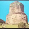 Dhamekh Stupa Maxi Cards