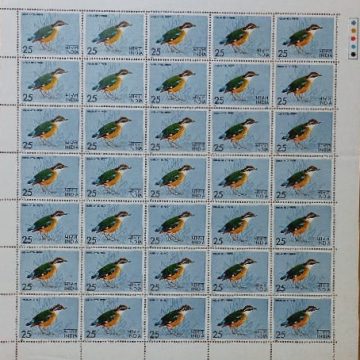Indian Pitta. Bird, Indian Pitta, Pitta Brachyura, Passerine,Rs.25p- MNH (Stamp Full Sheets - 35stamps)