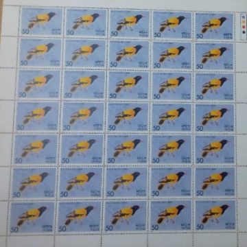 Black Headed Oriole Black Headed Oriole, Oriolus larvatus, Passerine,Rs.50P- MNH (Stamp Full Sheets - 35stamps)