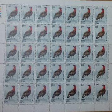 Western Tragopan. Western Tragopan, Western Horned Tragopan, Tragopan melanocephalus, Pheasant,Rs.1r- MNH (Stamp Full Sheets - 35stamps)
