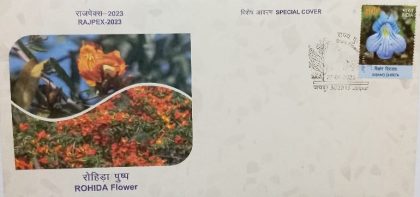 Rohida Flower (Special Cover)