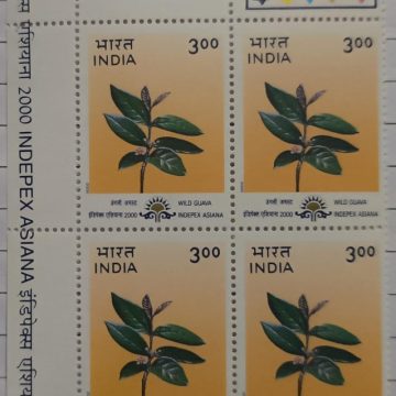 "Indepex-Asiana 2000";Psidium guineense (Wild Guava) (Block of 4 TL Stamp)