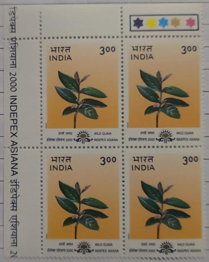 "Indepex-Asiana 2000";Psidium guineense (Wild Guava) (Block of 4 TL Stamp)