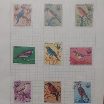 Thematic Birds Stamps of PARAGUAY  9 stamps 7 Used /2 Mint