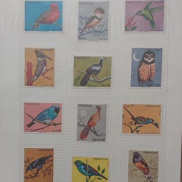 Thematic Birds Stamps of PARAGUAY  12 stamps Mints