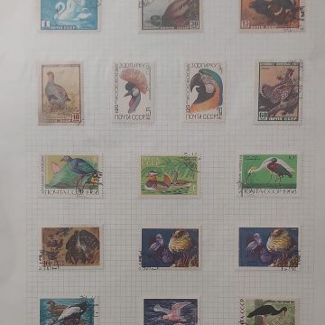 Thematic Birds Stamps of RUSSIA 16 Stamps 14 Used /2Mint