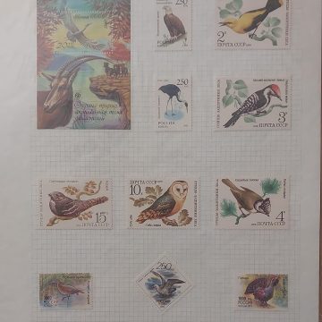 Thematic Birds Stamps of RUSSIA 1 Minature sheet 10 Stamps Mint