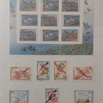 Thematic Birds Stamps of RUSSIA 1 Minature sheet- 7 Stamps/ 5 Used/ 2 Mint