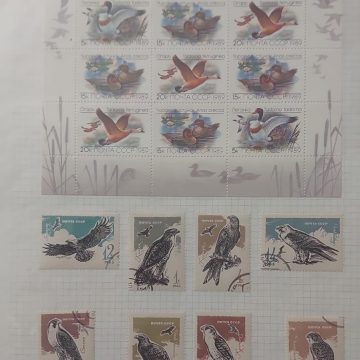 Thematic Birds Stamps of RUSSIA 1 Minature sheet- 8 Used Stamps Mint