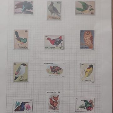 Thematic Birds Stamps of RWANDA 12 Stamps Mint
