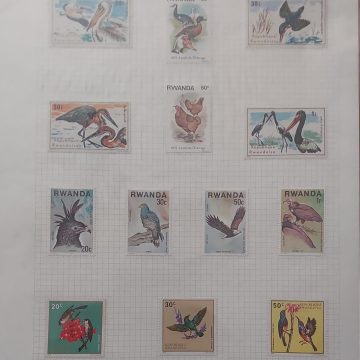 Thematic Birds Stamps of RWANDA 13 Stamps Mint
