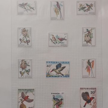 Thematic Birds Stamps of RWANDA 12 Stamps Mint