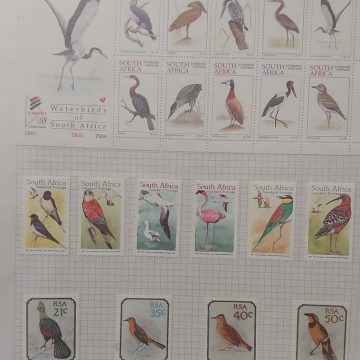 Thematic Birds Stamps of SOUTH AFRICA 1 Minature sheet -10 Stamps Mint