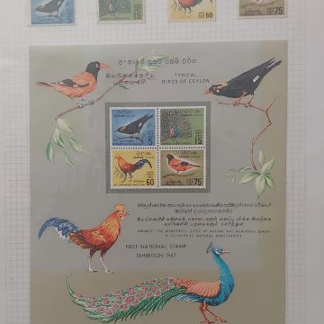 Thematic Birds Stamps of SRILANKA 1 Minature sheet- 4 Stamps Mint