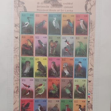 Thematic Birds Stamps of SRILANKA 1 Minature sheet