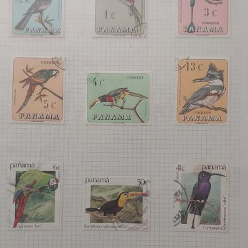 Thematic Birds Stamps of PANAMA 9 Used Stamps