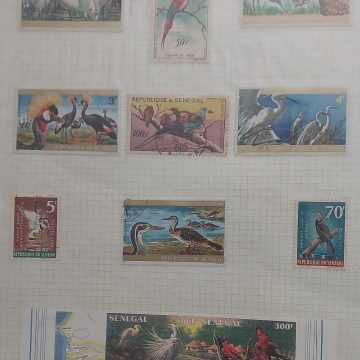 Thematic Birds Stamps of SENEGAL 10 Stamps 6 Used/4  Mint