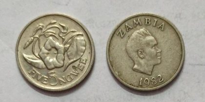 ZAMBIA 5 NGWEE 1982 Coin(USED)