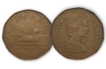 1 Dollar Canada 1989 Elizabeth II D.G Regina Used