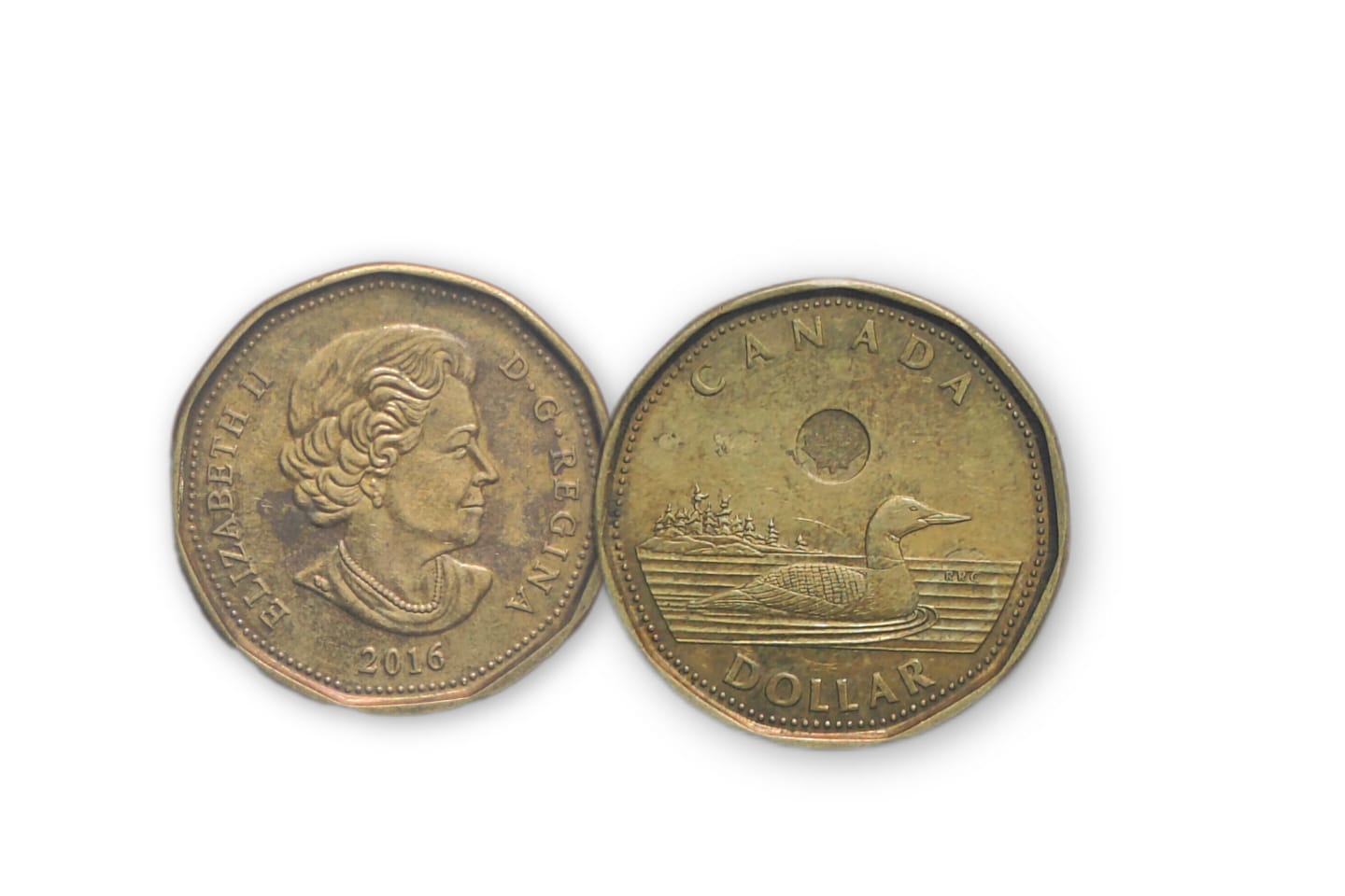 1 Dollar Canada 2016 Elizabeth II D.G Regina Used