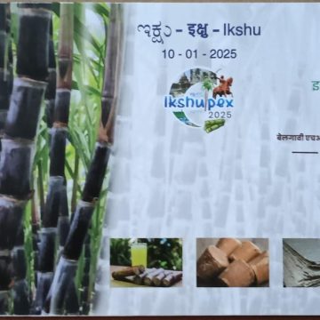 Ikshu Pex (Special cover)