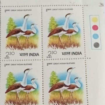 International symposium on the Great Indian Bustards, Jaipur (Block of 4 TL Stamp)