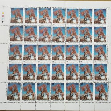 Flowering Trees - Flame of The Forest. Flower, Tree, Flame-of-The Forest, Spathodea campanulata, Fountain Tree, 35P - MNH (Stamp Full Sheets - 35stamps)
