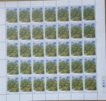 Flowering Trees - Crateva nurvala . Flower, Tree, Flame-of-The Forest, Spathodea campanulata, Fountain Tree, 35P - MNH (Stamp Full Sheets - 35stamps)